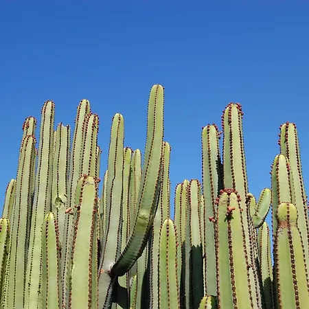 Salobre 3 By Villagrancanaria Villa *
